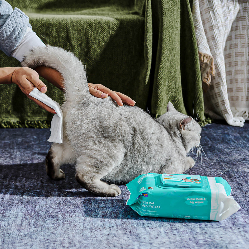 HICC Pet® Flushable Pet Anal Gland Wipes For Cats, 100 Pcs