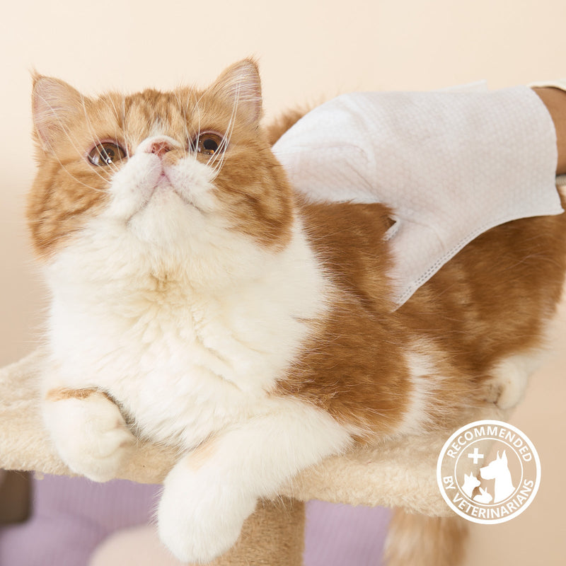 HICC Pet® Deodorizing Pet Glove Wipes For Cats,  20 Pcs