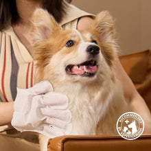 HICC Pet® Deodorizing Pet Glove Wipes For Dogs, 20 Pcs