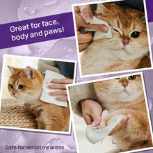 HICC Pet® Plant-Based Pet Wipes For Cats, Damask Rose Scent, 100 Pcs