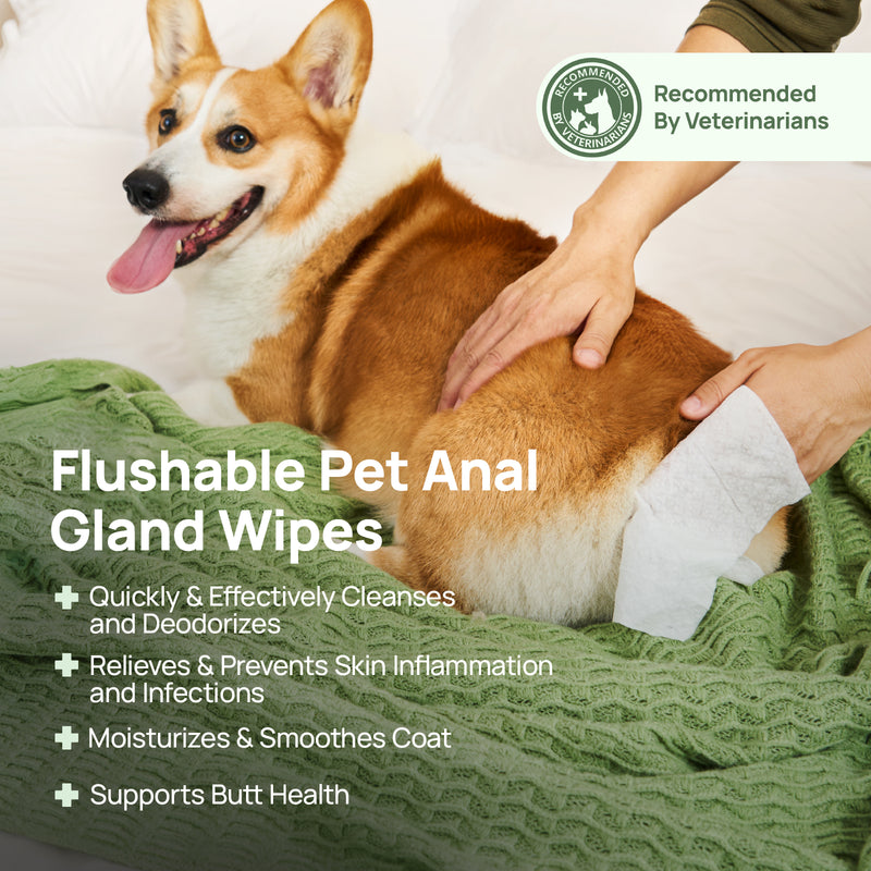 HICC Pet® Flushable Pet Anal Gland Wipes For Dogs, 100 Pcs