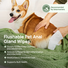 HICC Pet® Flushable Pet Anal Gland Wipes For Dogs, 100 Pcs
