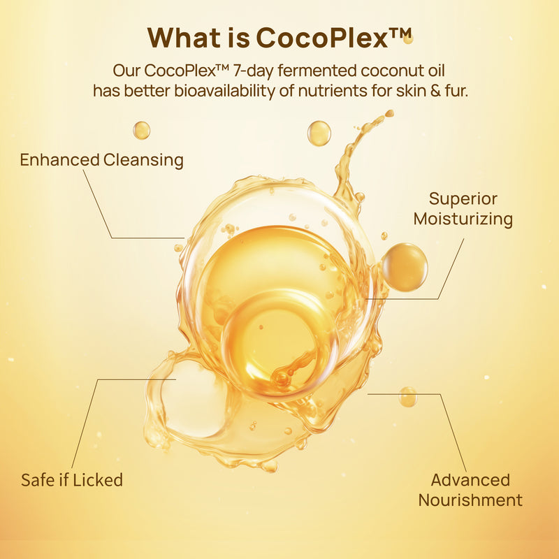 HICC Pet®  Hypoallergenic Pet Eye Wipes For Cats, 100 Pads