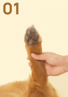 How to use