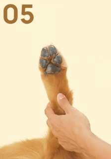 How to use