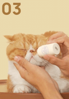 How to use