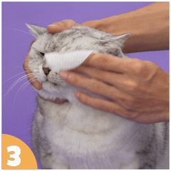 How to use