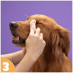 How to use