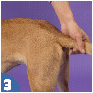 How to use