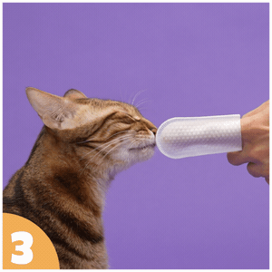 How to use