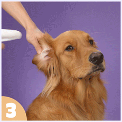 How to use