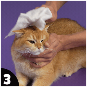 How to use