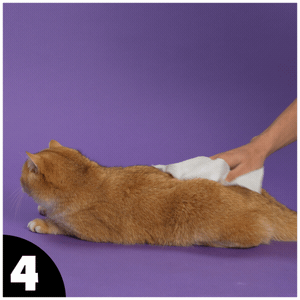 How to use