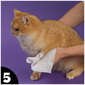 How to use