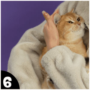 How to use