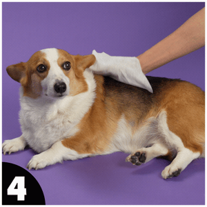 How to use