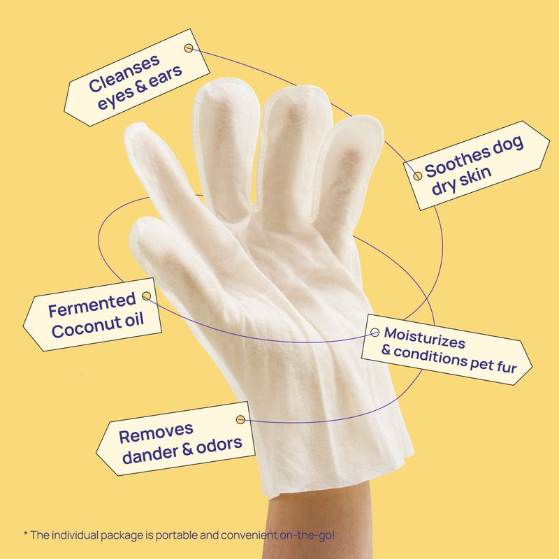 HICC Pet® Hypoallergenic Pet Glove Wipes For Dogs, 6 Pcs