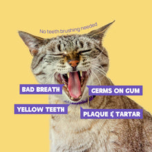 HICC Pet® Pet Dental Finger Wipes For Cats, 50 Pcs