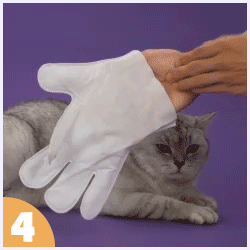 How to use