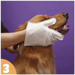 How to use