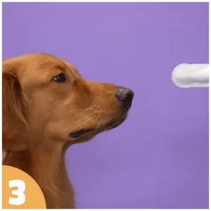 How to use