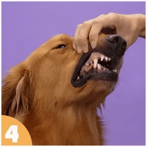 How to use