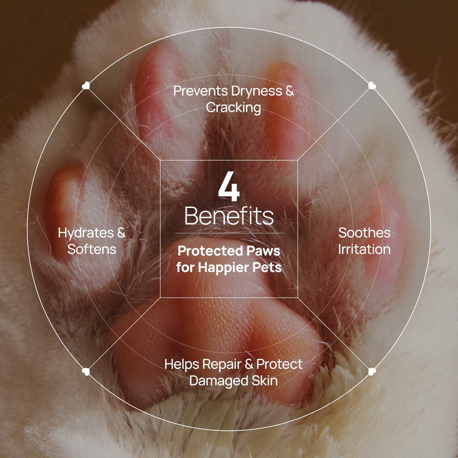 HICC Pet® Paw Balm Butter For Cats