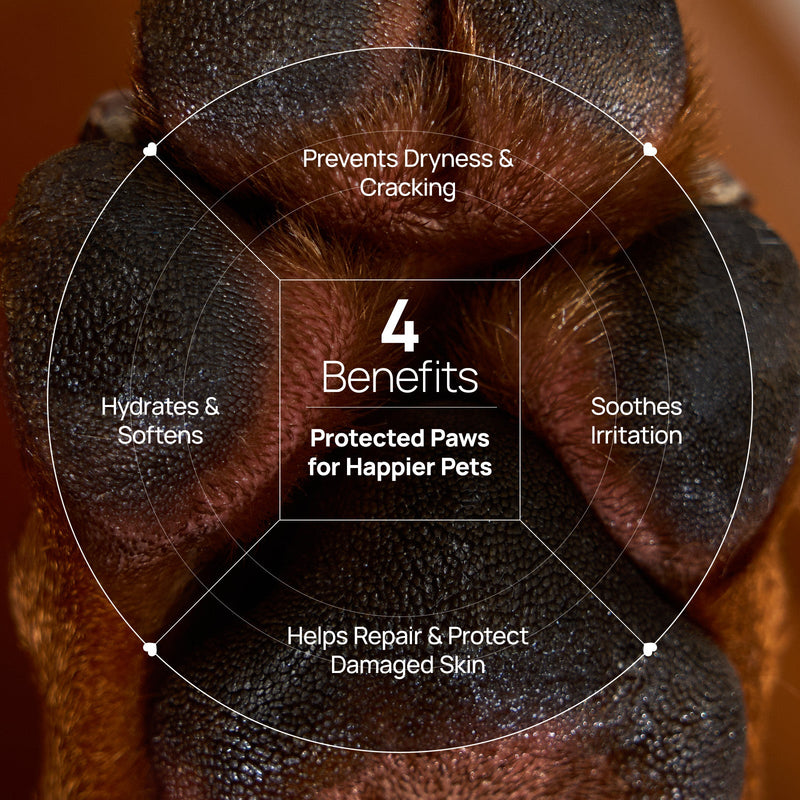 HICC Pet® Paw Balm Butter For Dogs