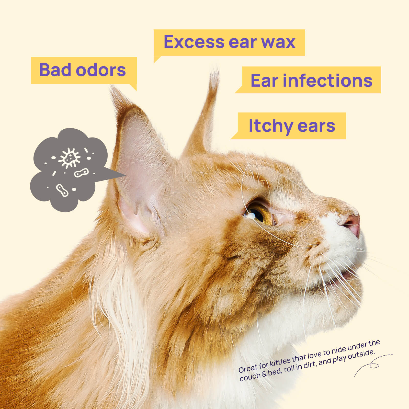 HICC Pet® Pet Ear Relief Finger Wipes For Cats, 50 Pcs