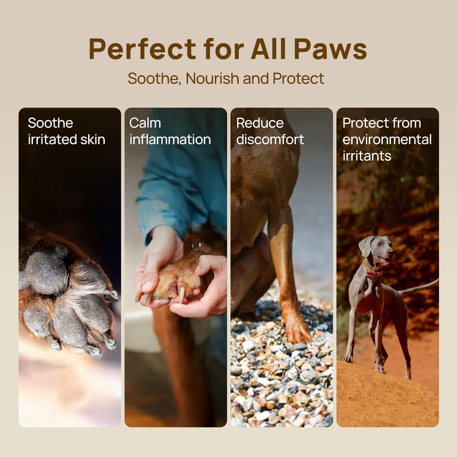 HICC Pet® Paw Balm Butter For Dogs