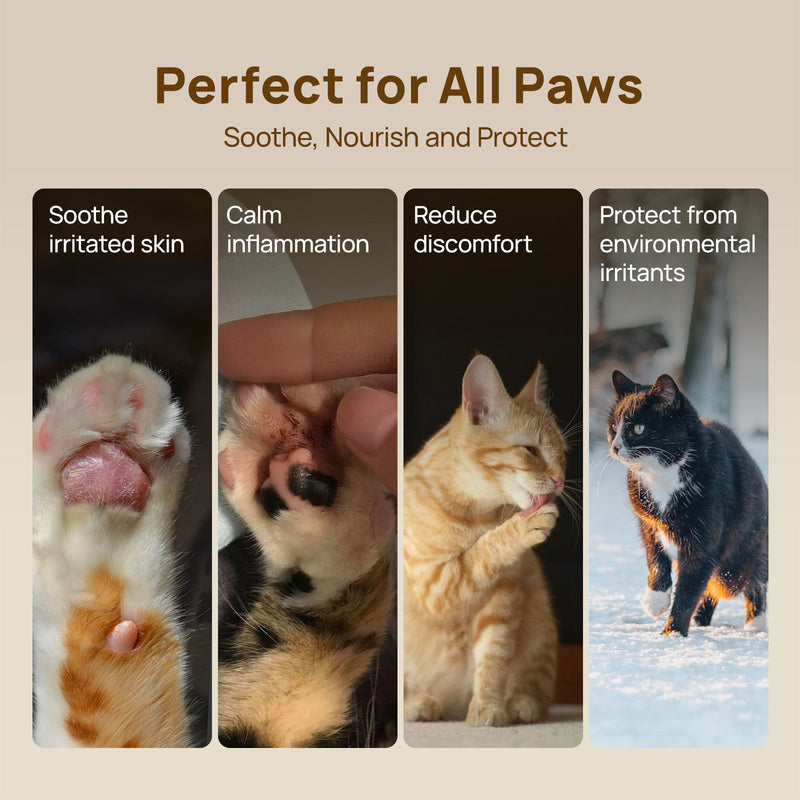HICC Pet® Paw Balm Butter For Cats