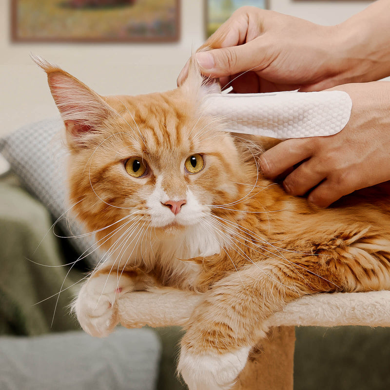 HICC Pet® Pet Ear Relief Finger Wipes For Cats, 50 Pcs