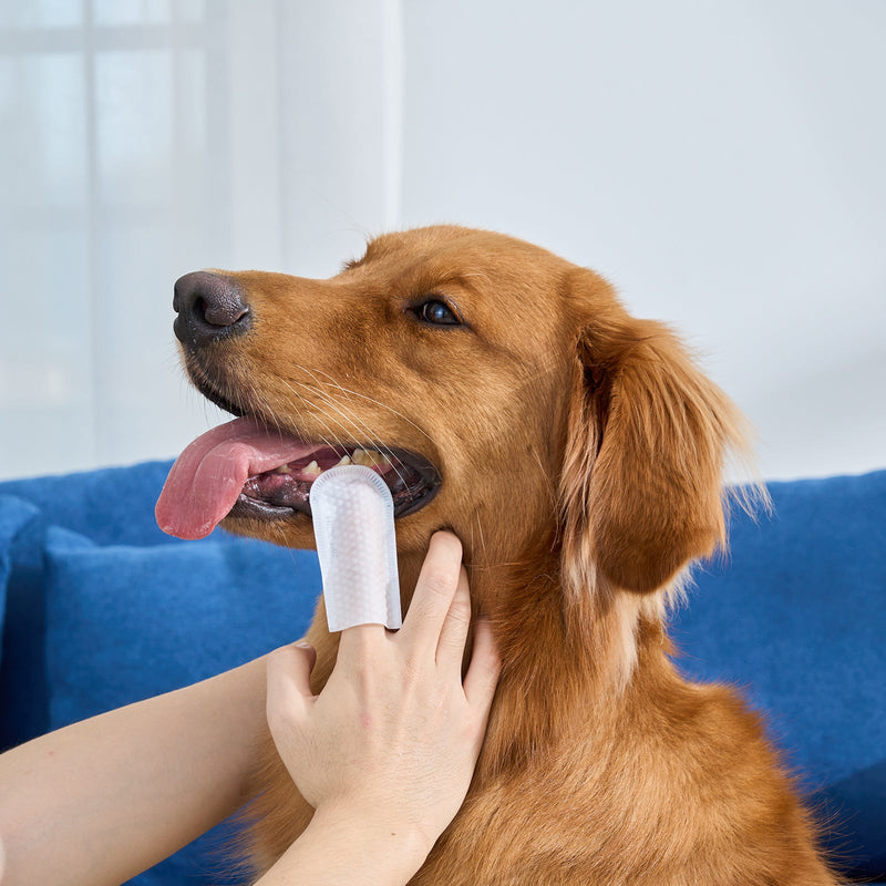HICC Pet® Pet Dental Finger Wipes For Dogs, Unscented, Large Size, 50 Pcs