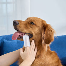 HICC Pet® Pet Dental Finger Wipes For Dogs, Unscented, Large Size, 50 Pcs