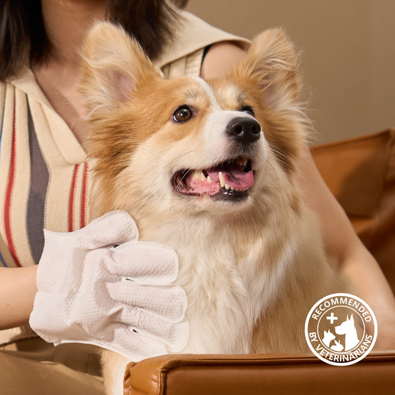 HICC Pet® Deodorizing Pet Glove Wipes For Dogs, 20 Pcs