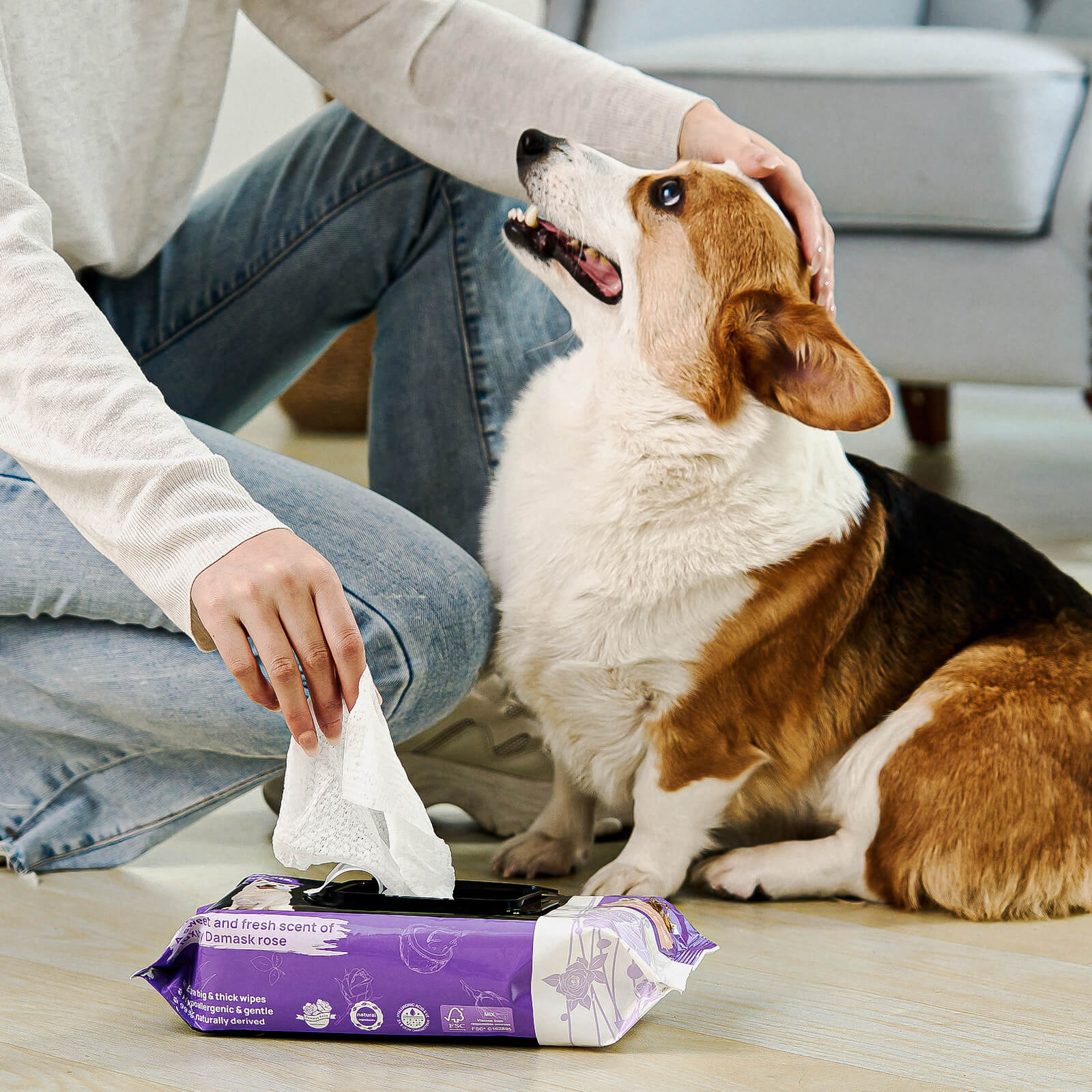 HICC Pet® Plant-Based Pet Wipes For Dogs, Damask Rose Scent, 100 Pcs