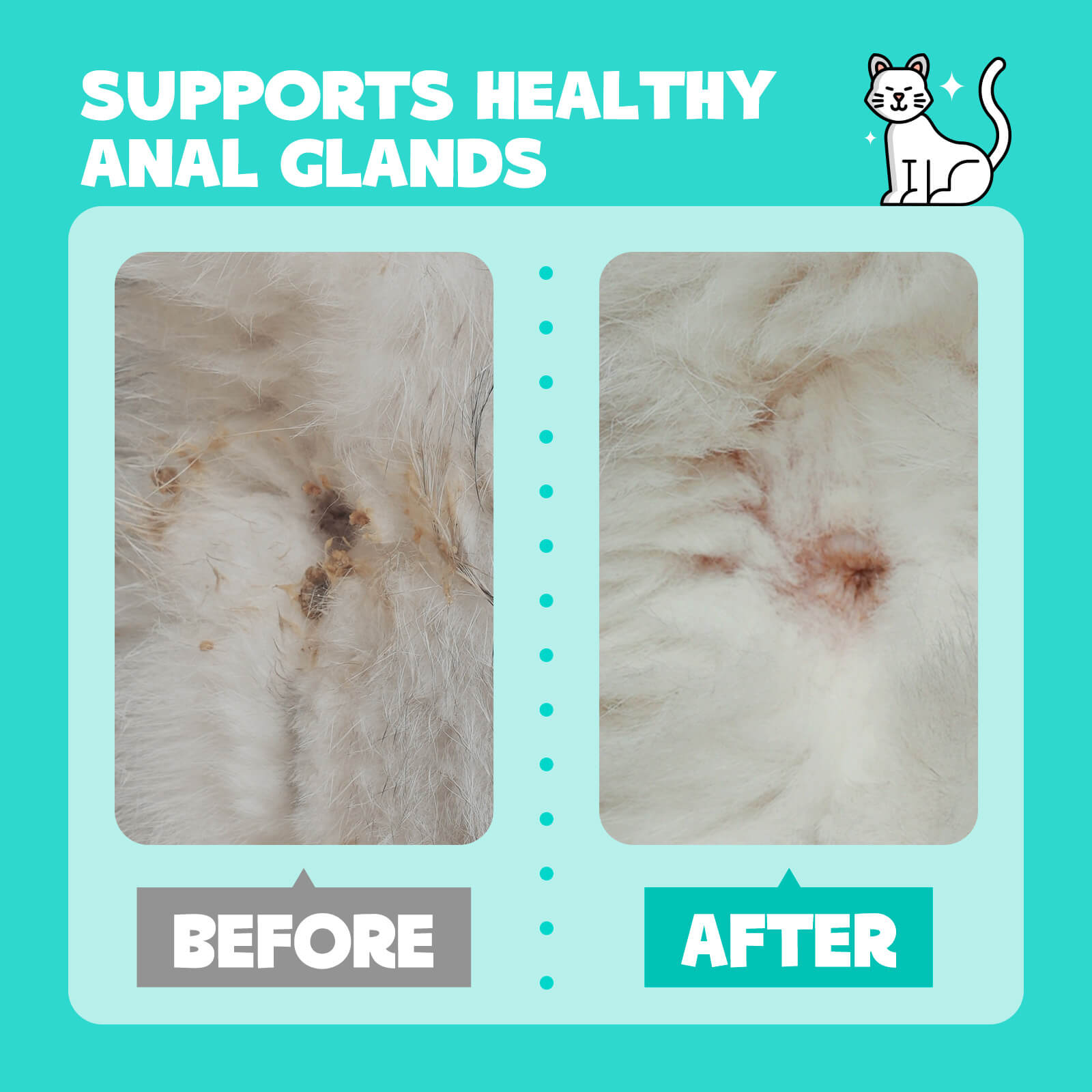HICC Pet® Flushable Pet Anal Gland Wipes For Cats, 100 Pcs