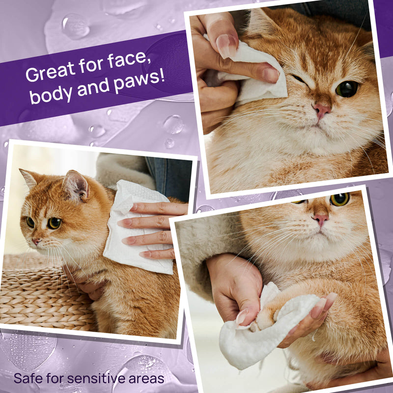 HICC Pet® Plant-Based Pet Wipes For Cats, Damask Rose Scent, 100 Pcs