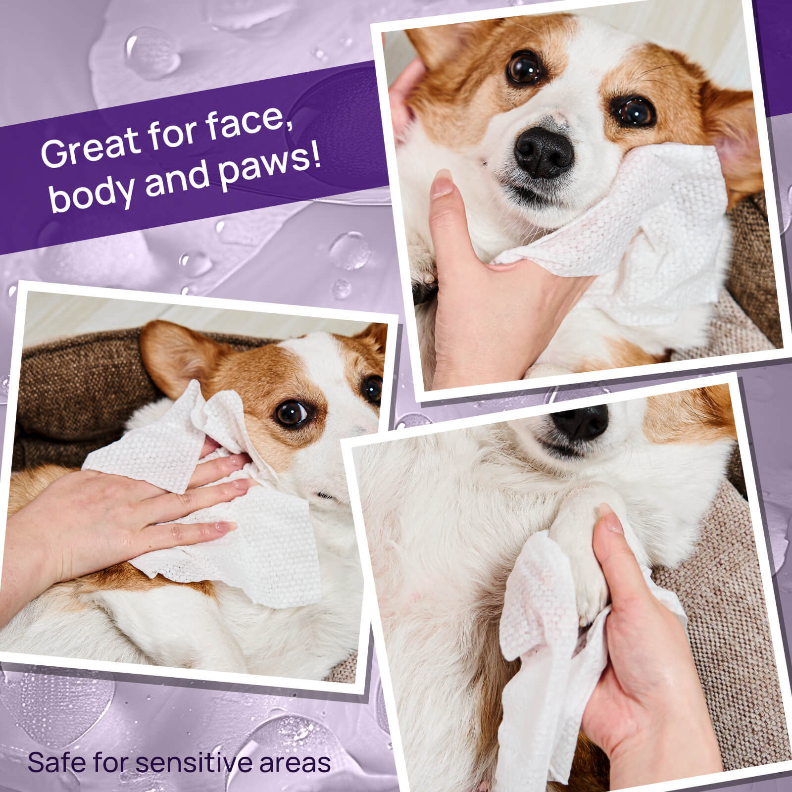 HICC Pet® Plant-Based Pet Wipes For Dogs, Damask Rose Scent, 100 Pcs