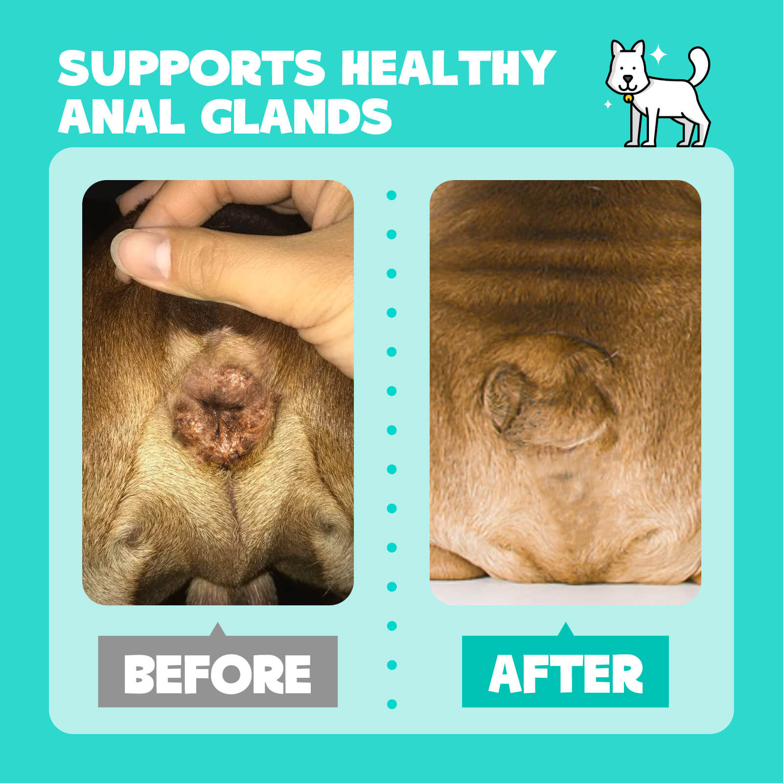 HICC Pet® Flushable Pet Anal Gland Wipes For Dogs, 100 Pcs