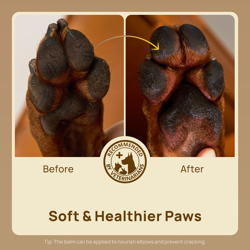 HICC Pet® Paw Balm Butter For Dogs