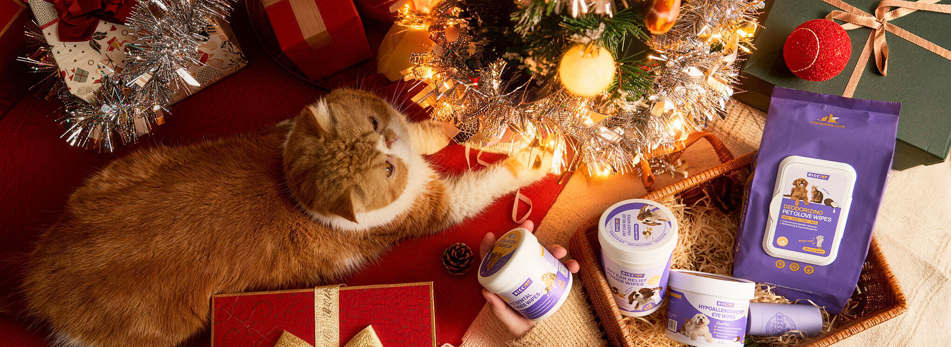 Happy New Year from HICC Pet 🐾