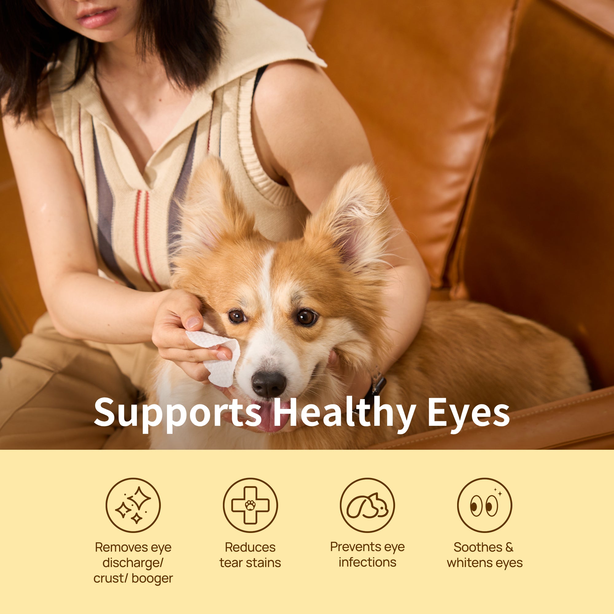 HICC Pet®  Hypoallergenic Pet Eye Wipes For Dogs, 100 Pads