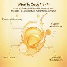 HICC Pet®  Hypoallergenic Pet Eye Wipes For Cats, 100 Pads