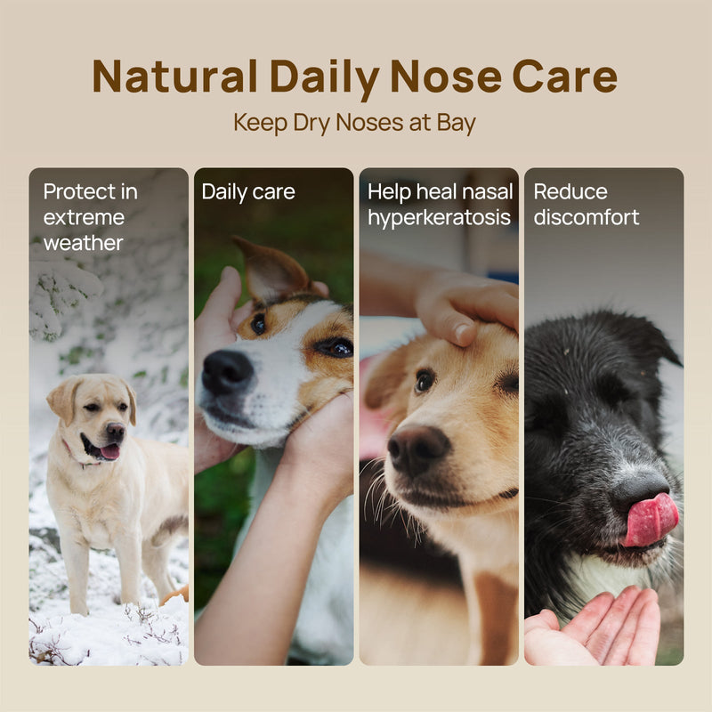 HICC Pet® Nose Balm Butter For Dogs