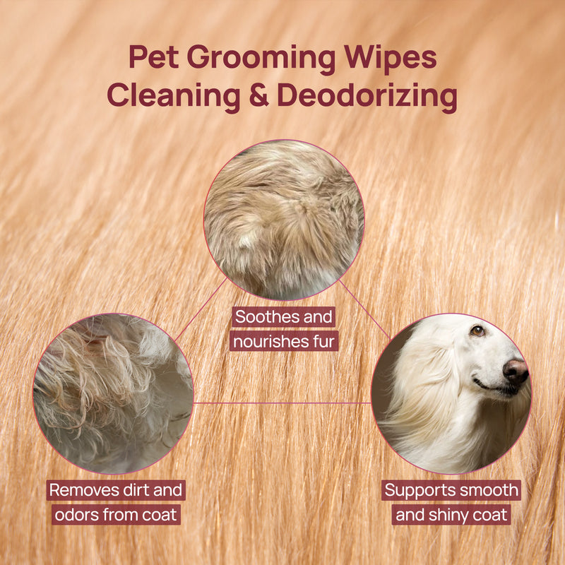 HICC Pet® Plant-Based Pet Wipes For Cats, Damask Rose Scent, 100 Pcs