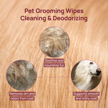 HICC Pet® Plant-Based Pet Wipes For Cats, Damask Rose Scent, 100 Pcs