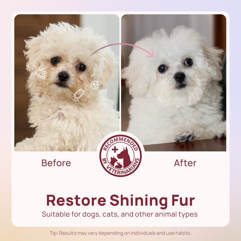 HICC Pet® Plant-Based Pet Wipes For Dogs, Damask Rose Scent, 100 Pcs