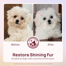 HICC Pet® Plant-Based Pet Wipes For Dogs, Damask Rose Scent, 100 Pcs