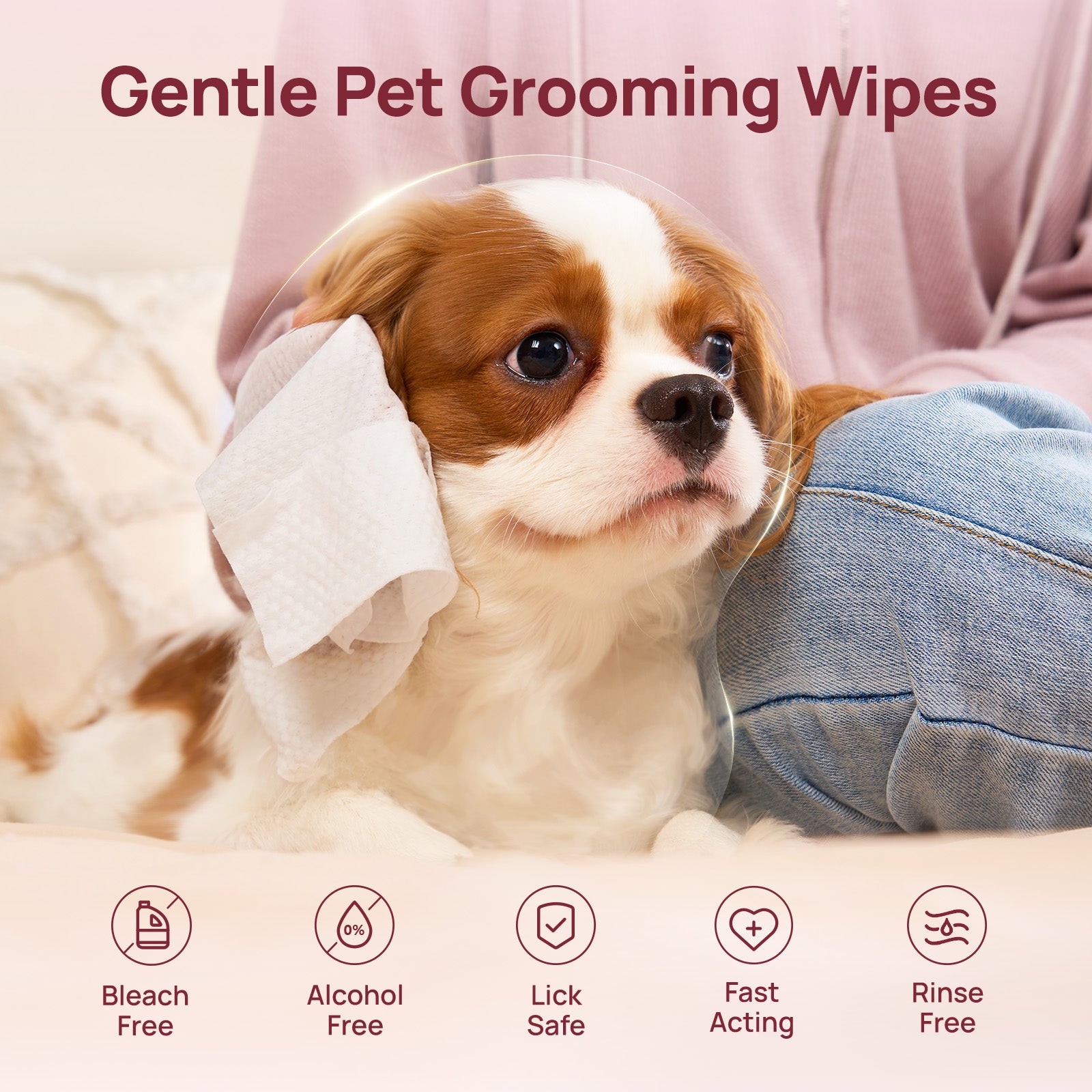 HICC Pet® Plant-Based Pet Wipes For Dogs, Damask Rose Scent, 100 Pcs